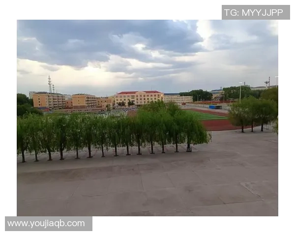 庄河足球明星全景盘点及其辉煌成就详解