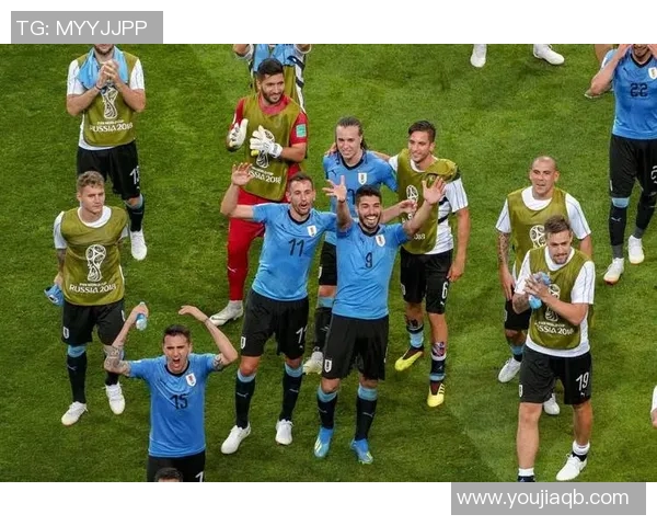 河马足球明星的传奇故事与赛场风采揭秘